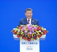 纷纷赞扬习的性目光”